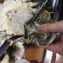 意外と簡単 うますぎるケジャン レシピ 作り方 By ちきちきクッキング 楽天レシピ 意外と簡単 うますぎるケジャン レシピ 作り方 By ちきちきクッキング 楽天レシピ